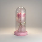 eRamis pink preserved rose under glass dome with fairy lights and "Eternal" ribbon