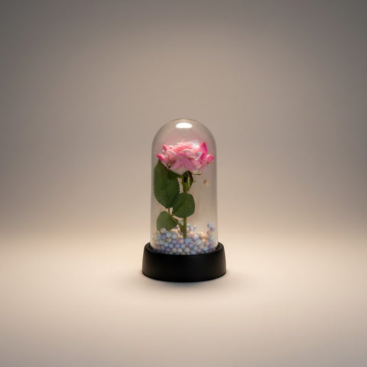 eRamis pink preserved rose under glass dome with fairy lights and pastel beads.