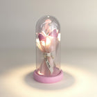 eRamis pink preserved tulips in a glass dome with a pink base and ribbon that says ETERNAL.