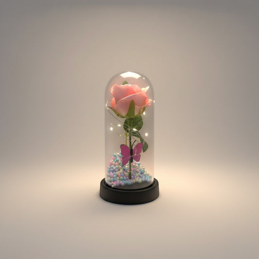 eRamis preserved pink rose under glass dome with fairy lights and pink butterfly accent on colorful base.