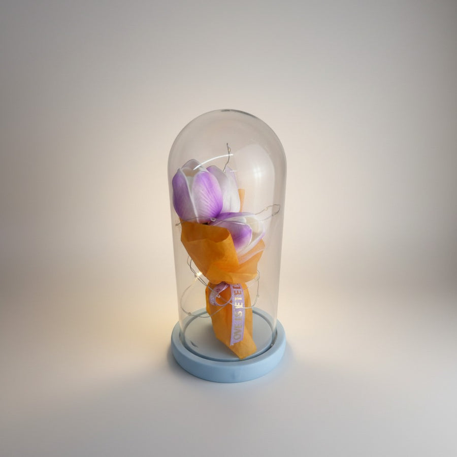 eRamis preserved purple and white tulips under glass dome with fairy lights and orange ribbon.