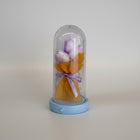 eRamis preserved purple and white tulips under a glass dome with fairy lights and a blue base.