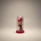 eRamis preserved deep red roses under a glass dome with fairy lights, a romantic gift.