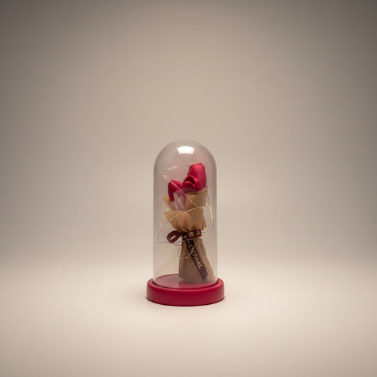 eRamis preserved deep red roses under a glass dome with fairy lights, a romantic gift.