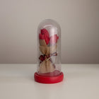 eRamis preserved red tulips under glass dome with fairy lights and ribbon.