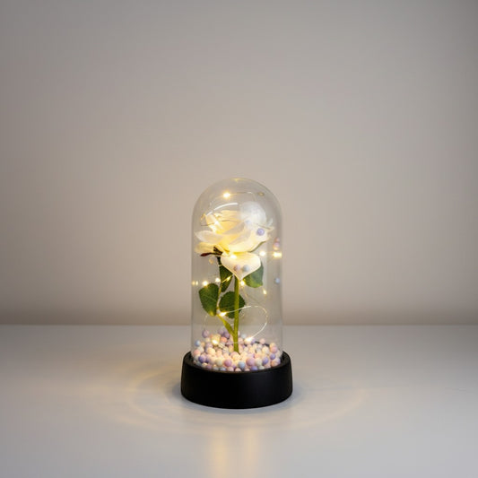 eRamis preserved white rose under glass dome with LED lights and pastel beads.