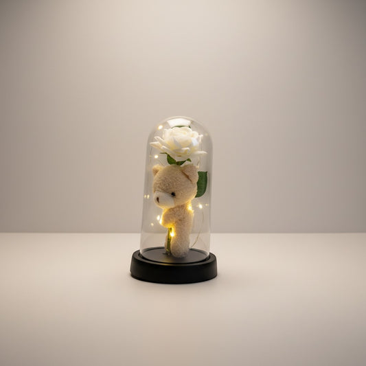 eRamis preserved white rose and teddy bear under glass dome with fairy lights. Romantic gift.