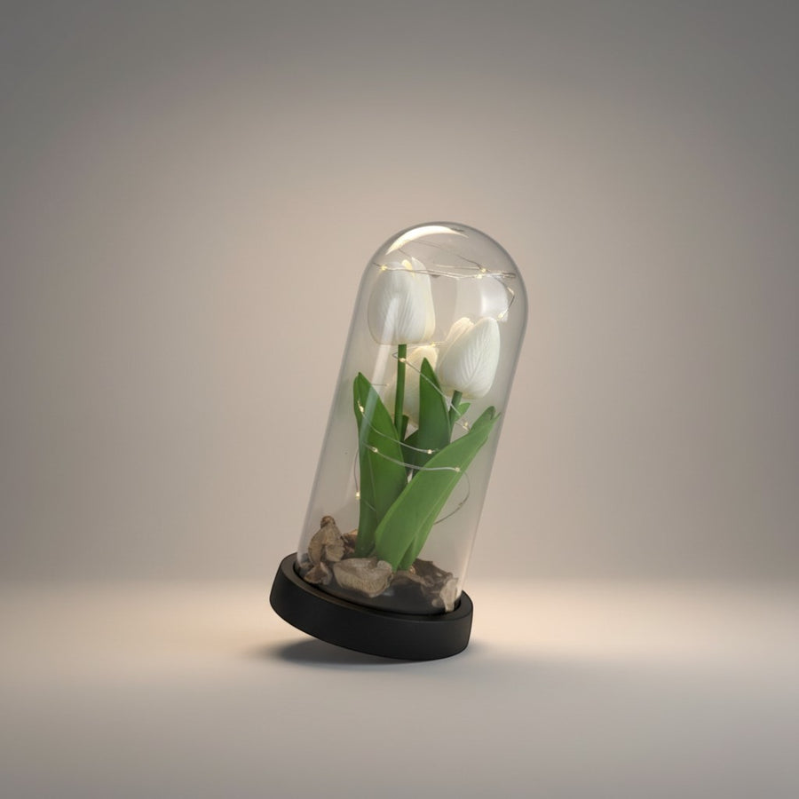 eRamis preserved white tulips under glass dome with fairy lights and decorative stones.