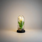 eRamis preserved white tulips under glass dome with fairy lights, a unique decorative piece.