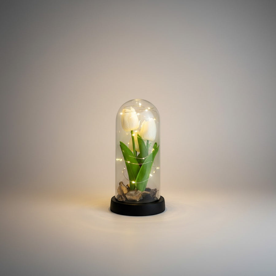 eRamis preserved white tulips under glass dome with fairy lights, a unique decorative piece.