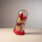 eRamis red preserved tulips under glass dome with fairy lights and ribbon.