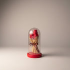eRamis red preserved tulips under glass dome with fairy lights and ribbon.