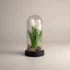 eRamis white preserved tulips under glass dome with fairy lights, a unique decorative piece.