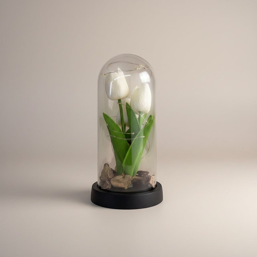 eRamis white preserved tulips under glass dome with fairy lights, a unique decorative piece.
