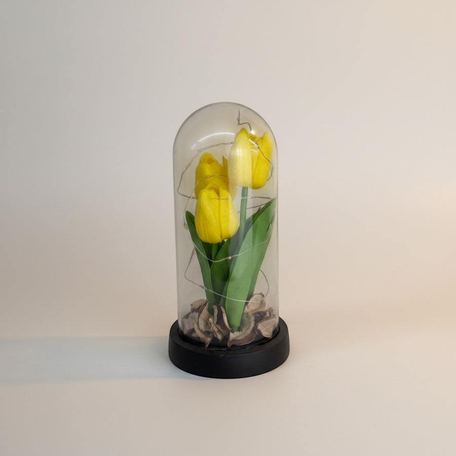 eRamis yellow preserved tulips under glass dome with fairy lights and dried petals