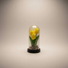 eRamis yellow tulips preserved under glass dome with fairy lights and dried leaves.