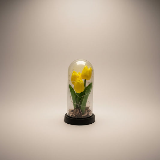 eRamis yellow tulips preserved under glass dome with fairy lights and dried leaves.