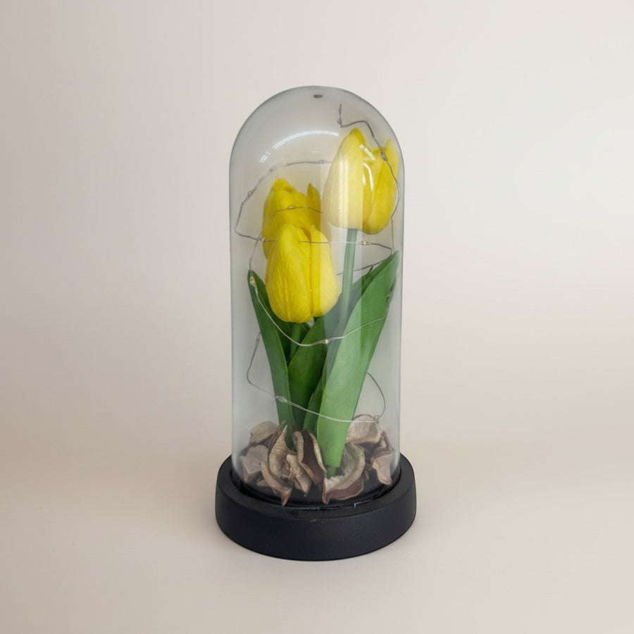 eRamis yellow tulips preserved under glass dome with fairy lights and dried potpourri base.
