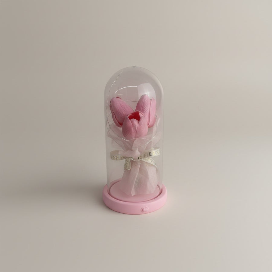 eRamis pink preserved tulips under a clear dome with LED lights, a decorative gift.