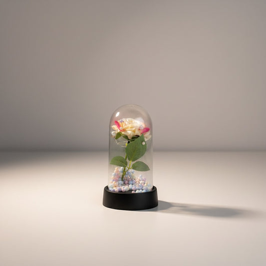 eRamis preserved white and red rose under glass dome with colorful beads and green leaves.